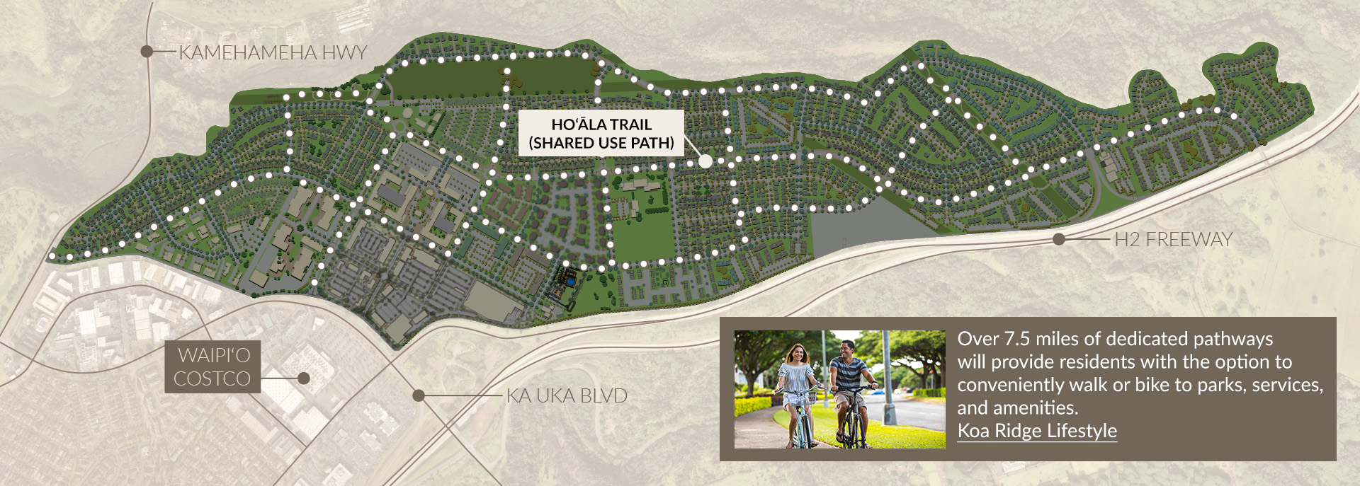 Koa Ridge Ho'ala Trail