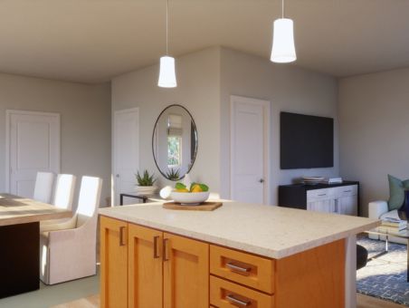 Puaola Plan B Virtual Tour