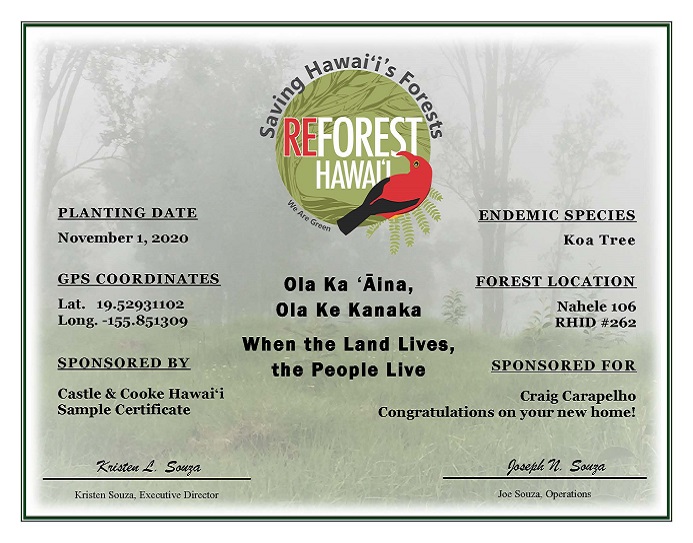 Reforest Hawaii Koa Tree Sponsorship Certificate