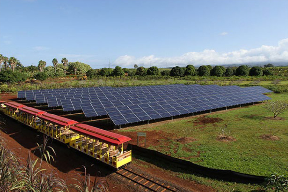 Dole Plantation Solar Panels